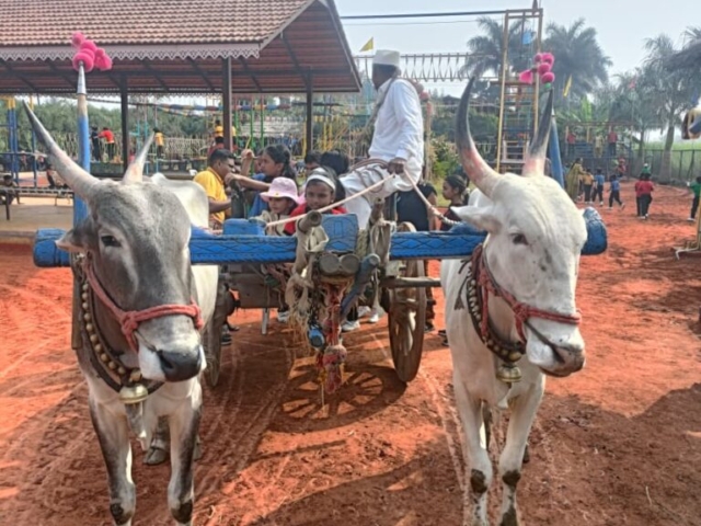 WhatsApp Image 2026-02-06 at 22.13.16